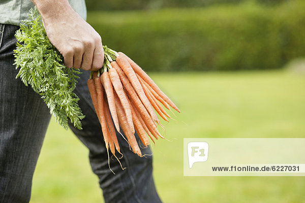 Man holding a bunch of carrots