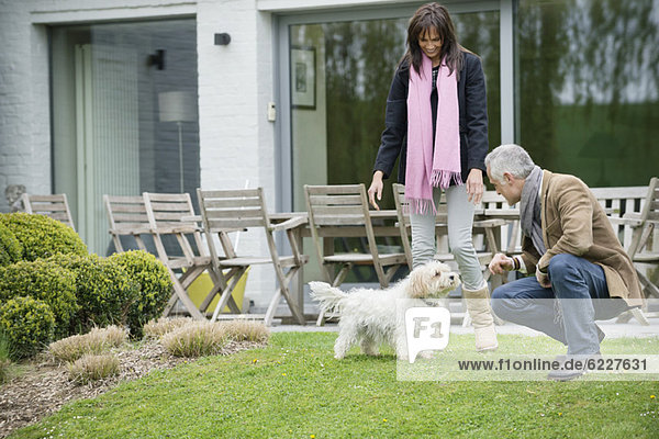 Couple playing with their pets in a garden