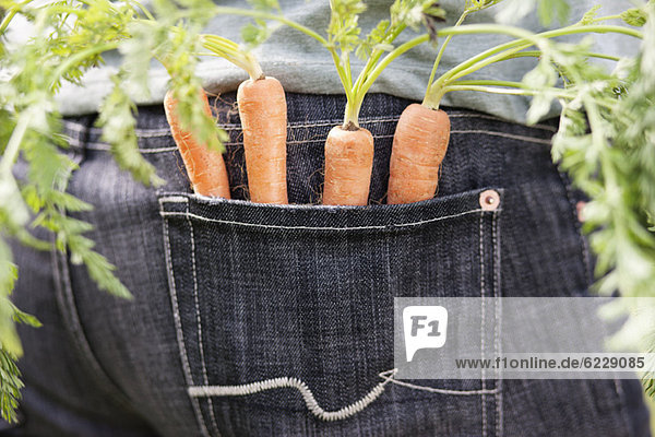 Karotten in der Tasche eines Mannes