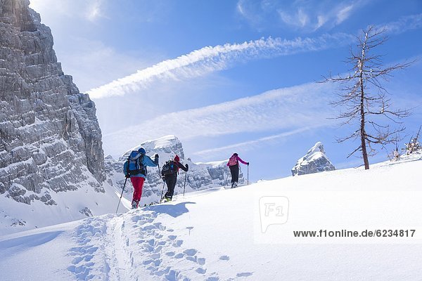 Schitourengeher am Watzmann Berchtesgadener Alpen