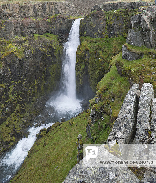 Wasserfall  Nordküste  Island  Europa