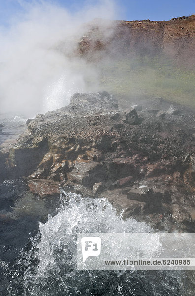 Heiße Quelle Delidartunguhver  Reykjadalsa  Island  Europa