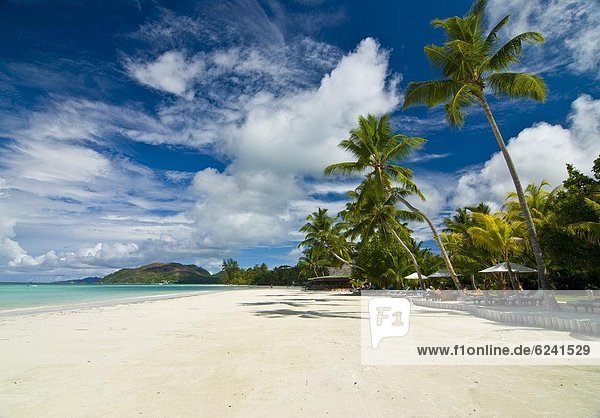 Beach bungalows at beach of Anse Volbert  Praslin  Seychelles  Indian Ocean  Africa