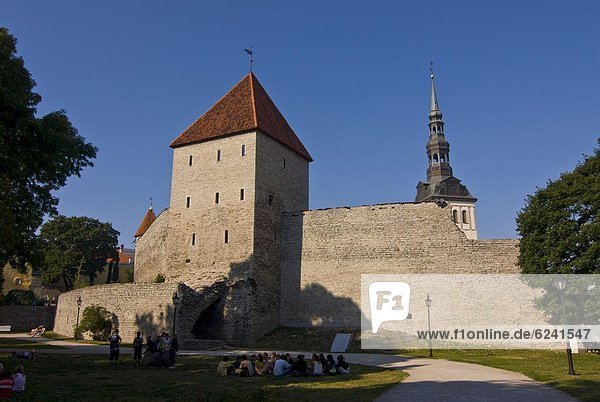 Tallinn  Hauptstadt  Stadtmauer  Europa  Stadt  UNESCO-Welterbe  Estland  alt