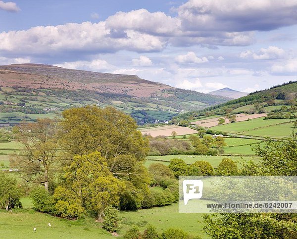 nahe  rollen  Europa  Berg  Ländliches Motiv  ländliche Motive  Großbritannien  Brotlaib  Zucker  Ansicht  Brecon Beacons National Park  Powys  Wales