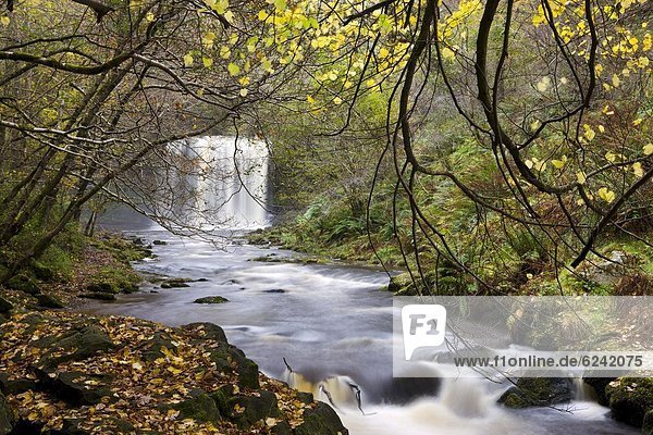 nahe  Europa  Großbritannien  Fluss  Wasserfall  Brecon Beacons National Park  Powys  Wales