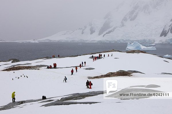 Tourists explore Pleneau Island on the Antarctic Peninsula  Antarctica  Polar Regions