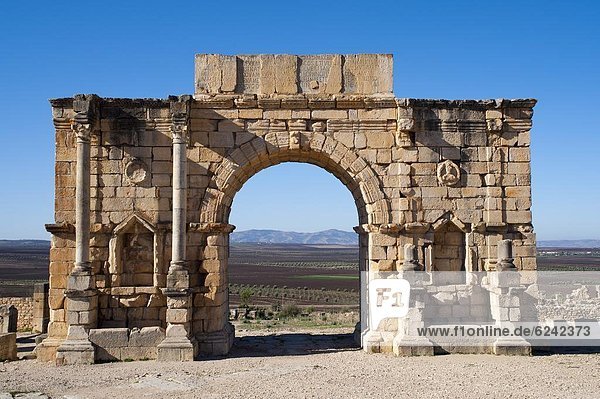 Arch in the Roman city of Volubilis  Morocco  North Africa  Africa