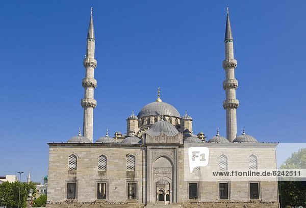 Truthuhn  Europa  Mensch  Menschen  frontal  Istanbul  Moschee  neu  Türkei