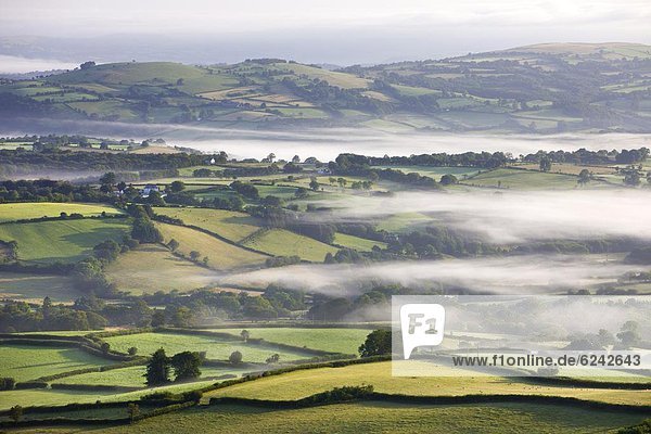 rollen  Europa  bedecken  Großbritannien  Dunst  Agrarland  Morgendämmerung  Brecon Beacons National Park  Wales