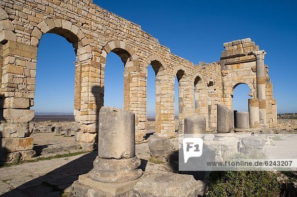 Ruins of the Roman city of Volubilis  UNESCO World Heritage Site  Morocco  North Africa  Africa