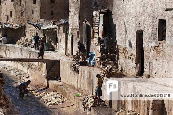 Tannery  Fez  Morocco  North Africa  Africa