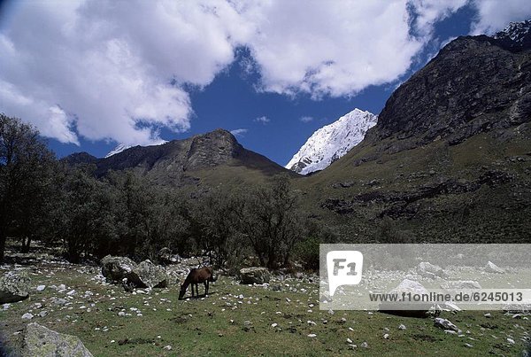 Außenaufnahme  Berg  Großstadt  Anden  Peru  Südamerika