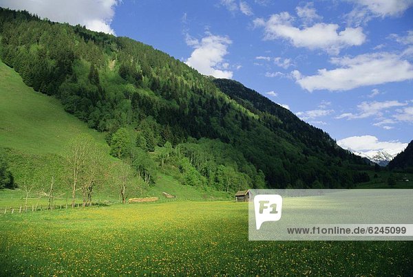 Europa  Österreich  Hohe Tauern Nationalpark