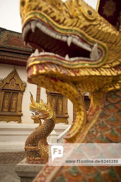 Wat Tung Yu  Chiang Mai Provinz Chiang Mai  Thailand  Südostasien  Asien
