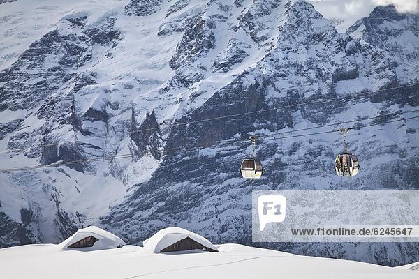 passen  Europa  Berg  heben  frontal  Ski  Gondel  Gondola  Westalpen  Berner Oberland  Grindelwald  Schweiz
