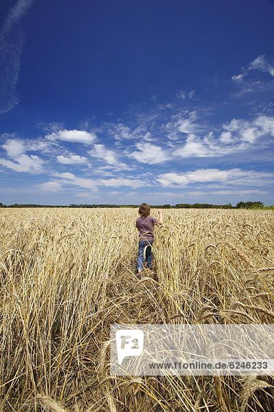 Boy running in wheat field  France  Europe