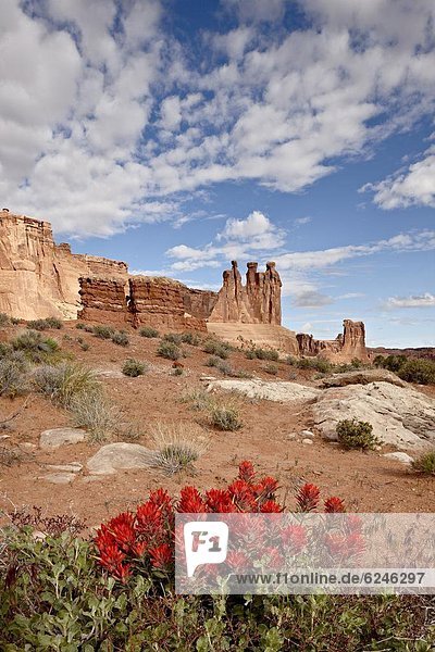 Vereinigte Staaten von Amerika  USA  Pinsel  Klatsch  Nordamerika  3  Arches Nationalpark  Utah