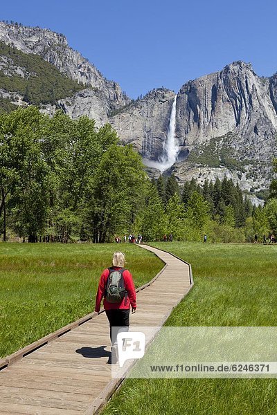 Vereinigte Staaten von Amerika  USA  gehen  Tourist  wandern  Nordamerika  UNESCO-Welterbe  Yosemite Nationalpark  Kalifornien