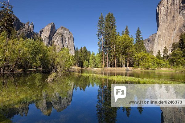 El Capitan  a 3000 feet granite monolith on the right  Cathedral Rocks and Cathedral Spires on the left  with the Merced River flowing through flooded meadows of Yosemite Valley  Yosemite National Park  UNESCO World Heritage Site  Sierra Nevada  California  United States of America  North America