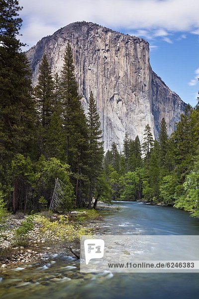 Vereinigte Staaten von Amerika  USA  Tal  fließen  Fluss  Nordamerika  Yosemite Nationalpark  UNESCO-Welterbe  El Capitan  Kalifornien  Merced