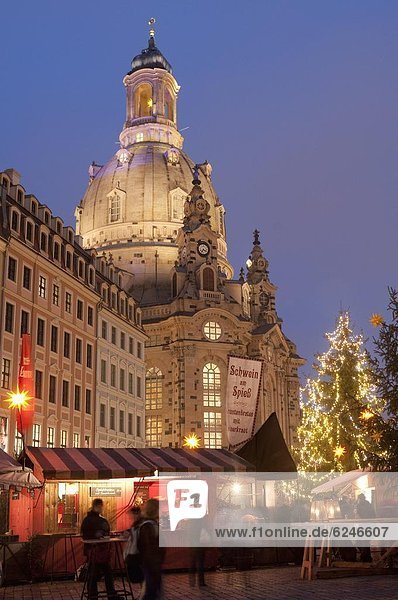 Christmas Market stalls in front of Frauen Church and Christmas tree at twilight  Neumarkt  Innere Altstadt  Dresden  Saxony  Germany  Europe
