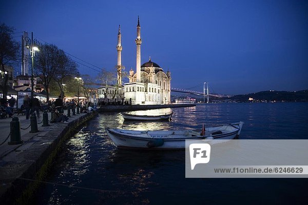 Truthuhn  Europa  Istanbul  Türkei