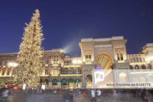 Christmas tree and Galleria Vittorio Emanuele entrance illuminated at dusk  Milan  Lombardy  Italy  Europe
