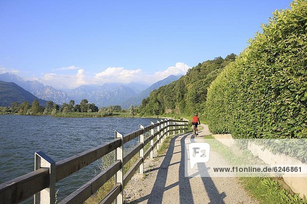 Man bikes along path at lake's edge  Lake Como  Italian Lakes  Lombardy  Italy  Europe