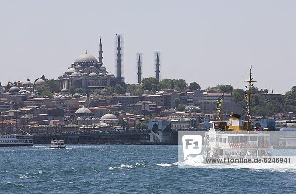 Truthuhn  entfernt  Europa  Boot  Fähre  Bosporus  Istanbul  Moschee  Türkei