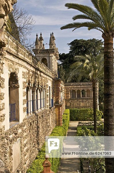 Europa  Galerie  Palast  Schloß  Schlösser  Garten  Alcazar von Sevilla  Andalusien  Sevilla  Spanien