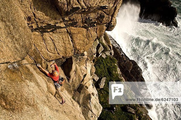 Kolkrabe  Corvus corax  Europa  Wand  Großbritannien  Steilküste  extrem  Klettern  Richtung  Klassisches Konzert  Klassik  Cornwall  England
