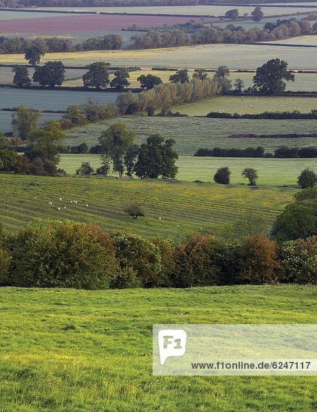 Europa  sehen  Großbritannien  über  Hügel  Ansicht  Cotswolds  England  Gloucestershire