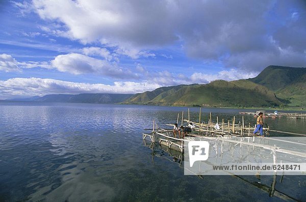 Fish rearing cages  Tongging  northern tip of Lake Toba  Southeast Asia's largest lake  North Sumatra  Sumatra  Indonesia  Southeast Asia  Asia
