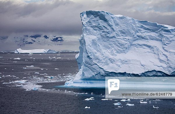 Eisberg  übergroß  treibend  Antarktis  Halbinsel