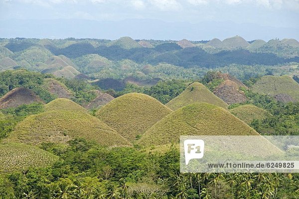 kegelförmig  Kegel  Tropisch  Tropen  subtropisch  Hügel  Philippinen  Südostasien  Asien  Bohol  Chocolate Hills  Karst  Kalkstein