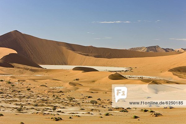 Düne  Namibia  Namib  Namib Naukluft Nationalpark  Afrika  Sossusvlei
