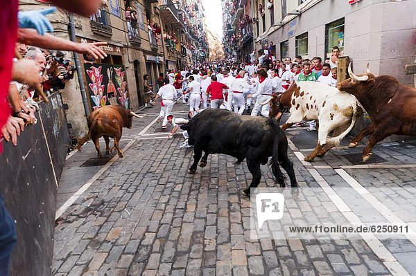 Seventh Encierro (running of the bulls)  San Fermin festival  Pamplona  Navarra (Navarre)  Spain  Europe