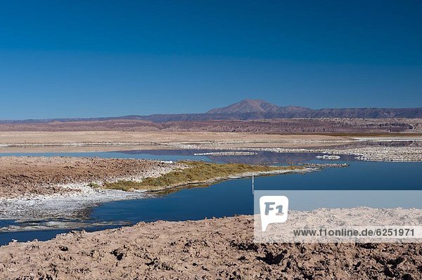 Atacama  Chile  Südamerika