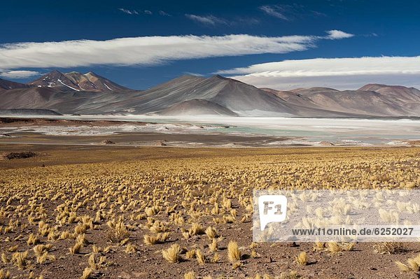Atacama  Chile  Südamerika