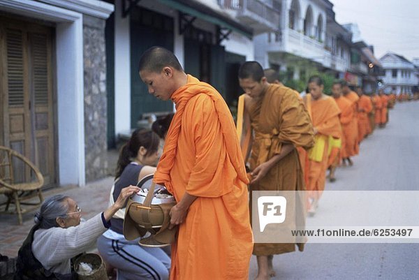 sammeln  Reis  Reiskorn  fünfstöckig  Buddhismus  Südostasien  Vietnam  Mönch  Asien  Laos  Luang Prabang
