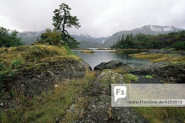 Vereinigte Staaten von Amerika  USA  Felsbrocken  bedecken  Ecke  Ecken  Nordamerika  Alaska  Moos  Prince William Sound