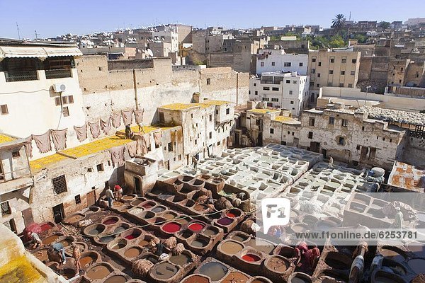Tannery  Fez  UNESCO World Heritage Site  Morocco  North Africa  Africa