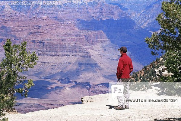 Tourist admiring the view from the South Rim  near Yavapai Point  Grand Canyon National Park  UNESCO World Heritage Site  Arizona  United States of America (U.S.A.)  North America