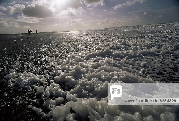 Foam off the Pacific Ocean on coast near Westport  Washington State  United States of America (U.S.A.)  North America