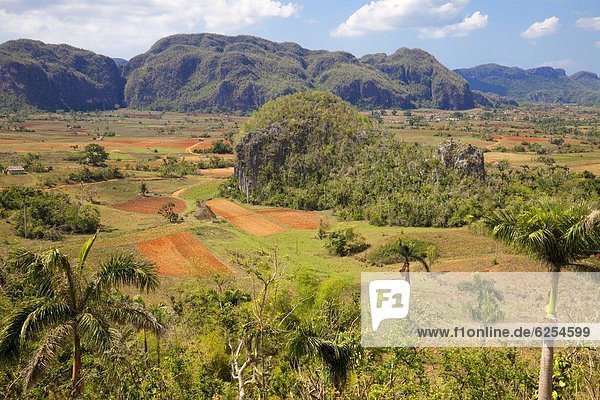 Landwirtschaft  dramatisch  Westindische Inseln  Mittelamerika  UNESCO-Welterbe  Pinar Del Rio  Viñales  Kuba  Valle
