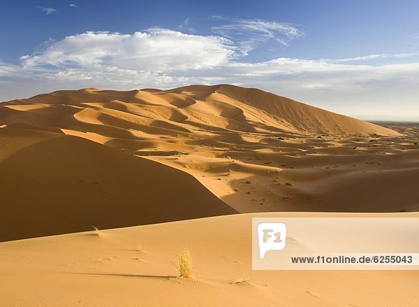 Nordafrika  nahe  rollen  Meer  Sand  gewellt  Düne  Afrika  Merzouga  Marokko