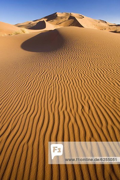 Nordafrika  nahe  rollen  Meer  Sand  gewellt  Düne  Afrika  Merzouga  Marokko