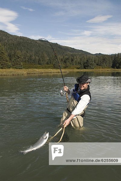 Vereinigte Staaten von Amerika  USA  fangen  Nordamerika  Silber  Lachs  Silberlachs  Oncorhynchus kisutch  Alaska  Fischer