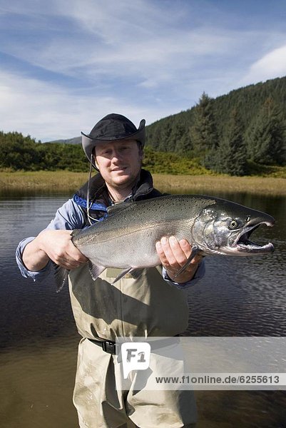 Vereinigte Staaten von Amerika  USA  halten  Nordamerika  Silber  Lachs  Silberlachs  Oncorhynchus kisutch  Alaska  Fischer